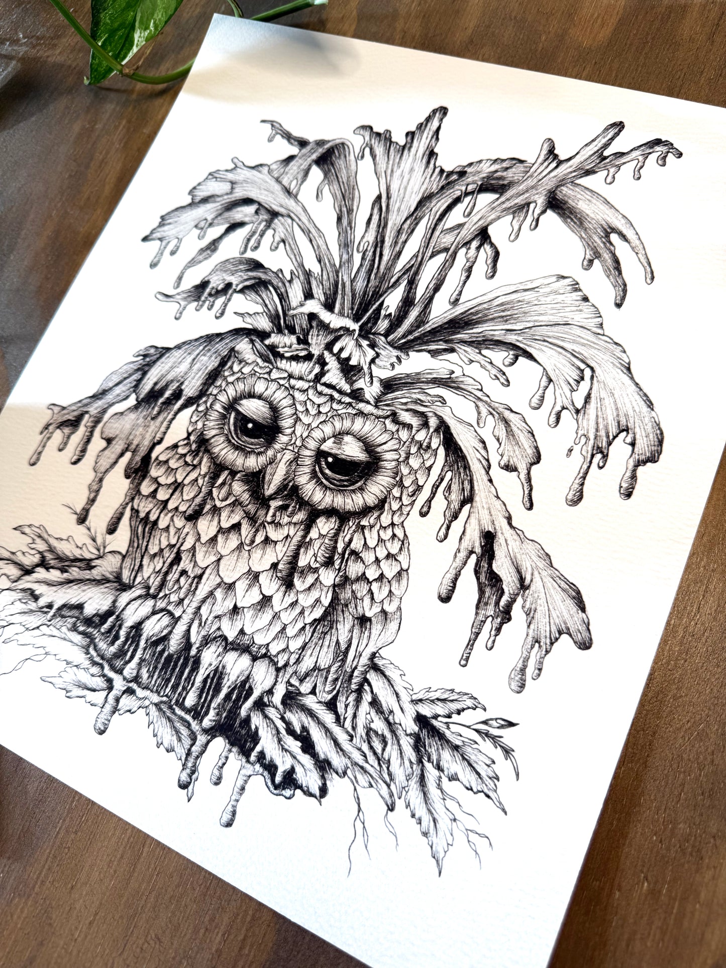 Overwatered Print