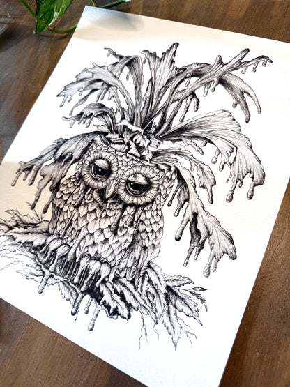 Overwatered Print