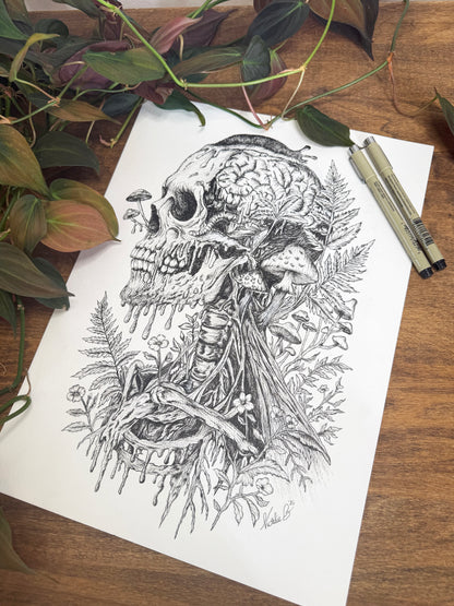 Neural Decay Original