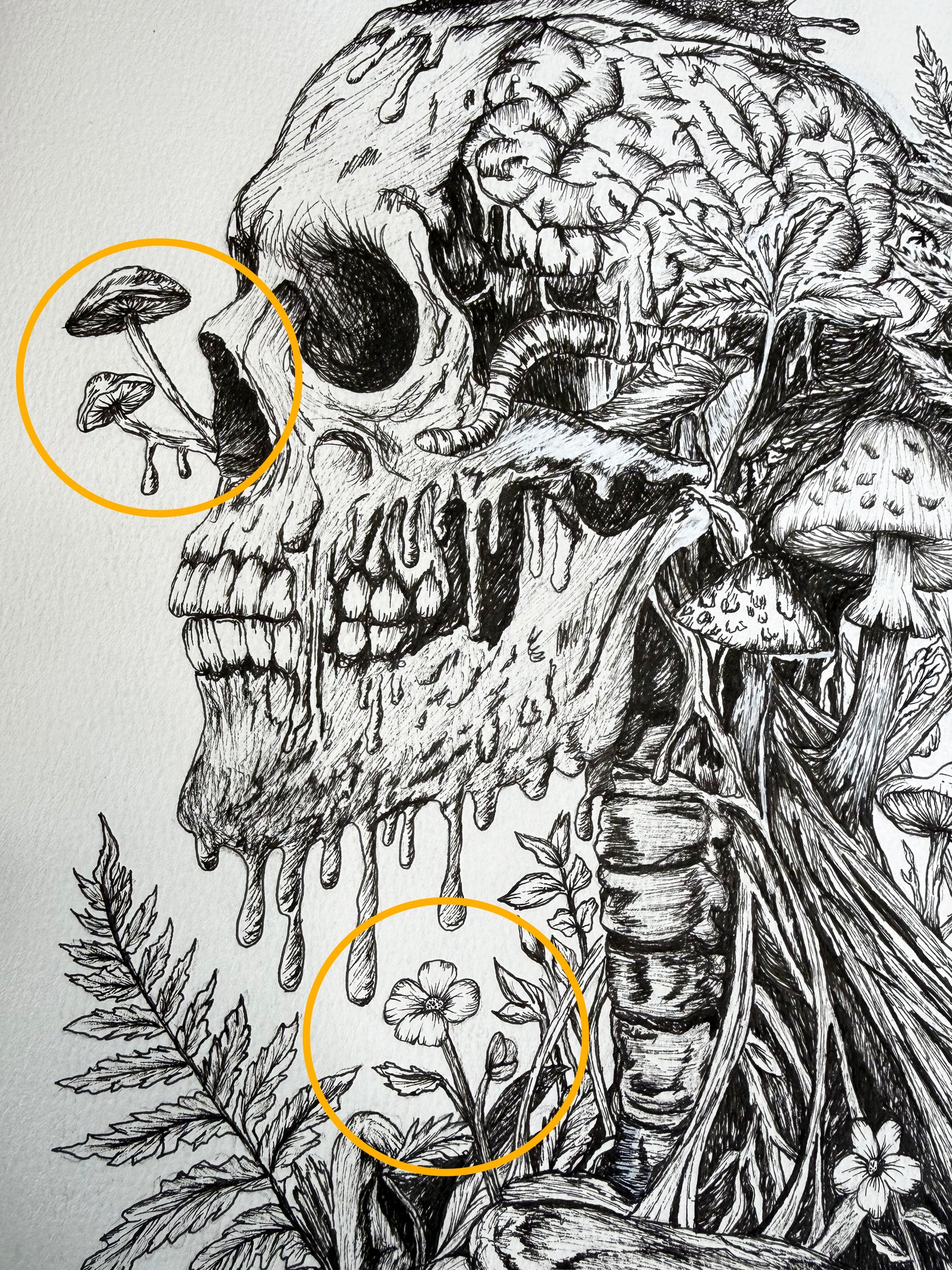 Neural Decay Original